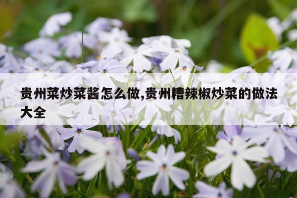 贵州菜炒菜酱怎么做,贵州糟辣椒炒菜的做法大全